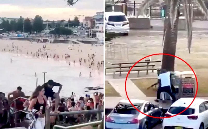 Atacatorii care au ucis 15 persoane pe o plajă din Australia sunt tată și fiu / O fetiță de 10 ani și un supraviețuitor al Holocaustului, printre cei uciși