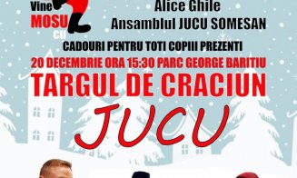 Atmosferă de sărbătoare la Jucu: Târg de Crăciun, lumini, muzică și artificii. Cei mici îl vor întâlni și pe Moș Crăciun