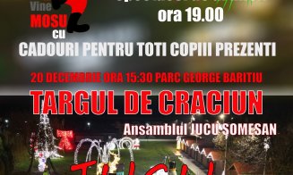 Atmosferă de sărbătoare la Jucu: Târg de Crăciun, lumini, muzică și artificii. Cei mici îl vor întâlni și pe Moș Crăciun