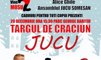 Atmosferă de sărbătoare la Jucu: Târg de Crăciun, lumini, muzică și artificii. Cei mici îl vor întâlni și pe Moș Crăciun