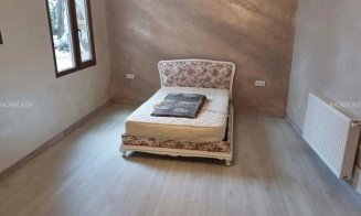 Cum arată o vilă din Făget, scoasă la vânzare pentru 1,8 milioane de euro. Are 10 camere și piscină