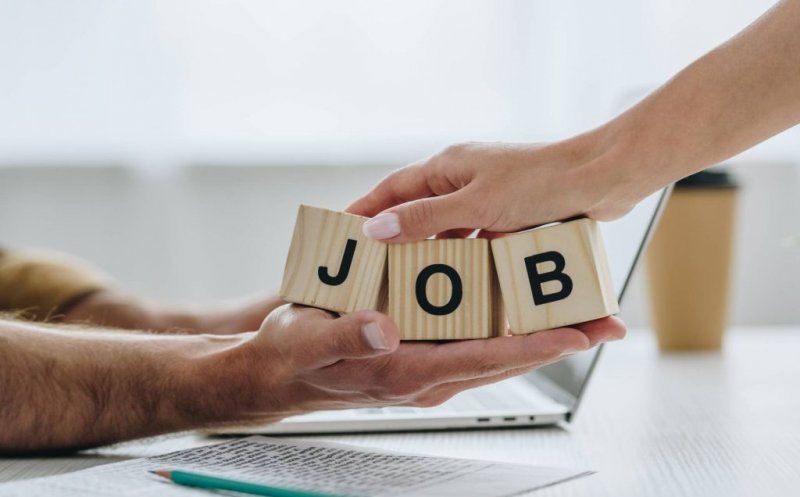 Care a fost cel mai dorit loc de muncă în România în 2025. Top 3 cele mai căutate joburi și ce salarii oferă