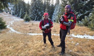 Doi cățeluși abandonați pe un traseu din Vlădeasa, recuperați de salvamontiștii clujeni. Apel către comunitățile din zonă