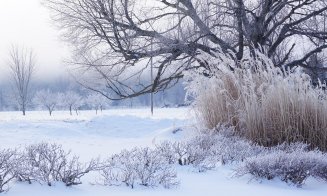Cum va fi vremea până la finalul lunii ianuarie: ger persistent