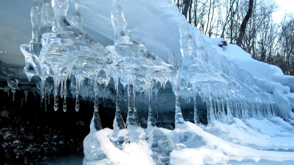 Aproape de o tragedie. Bărbat căzut în râul Mureș după ce a încercat să-și salveze câinele