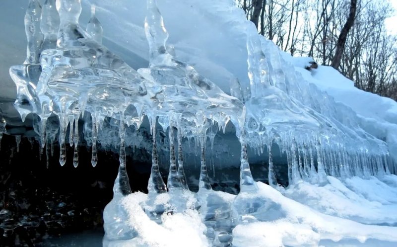 Aproape de o tragedie. Bărbat căzut în râul Mureș după ce a încercat să-și salveze câinele