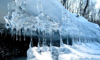 Aproape de o tragedie. Bărbat căzut în râul Mureș după ce a încercat să-și salveze câinele