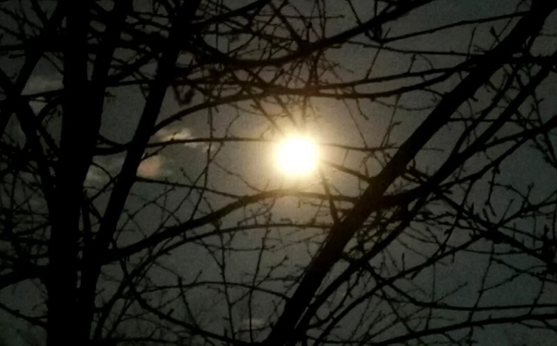 Luna Lupului și credințele iernii. Când se vede prima superlună din 2026?