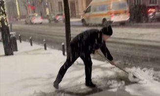 Emil Boc a lăsat mapa și a luat lopata