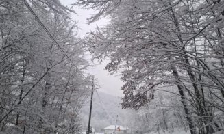 Nu există drumuri blocate traficului rutier. Tișe: ''Situația este foarte dinamică, aceasta schimbându-se de la o oră la alta''