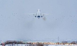 Incident pe Aeroportul din Cluj-Napoca. Un avion a ratat aterizarea după ce a lovit un stol de păsări
