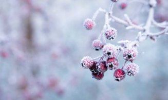Vine "gerul Bobotezei"! Temperaturi de până la - 14 grade, vânt şi ninsori/ Prognoza pe două săptămâni în Transilvania
