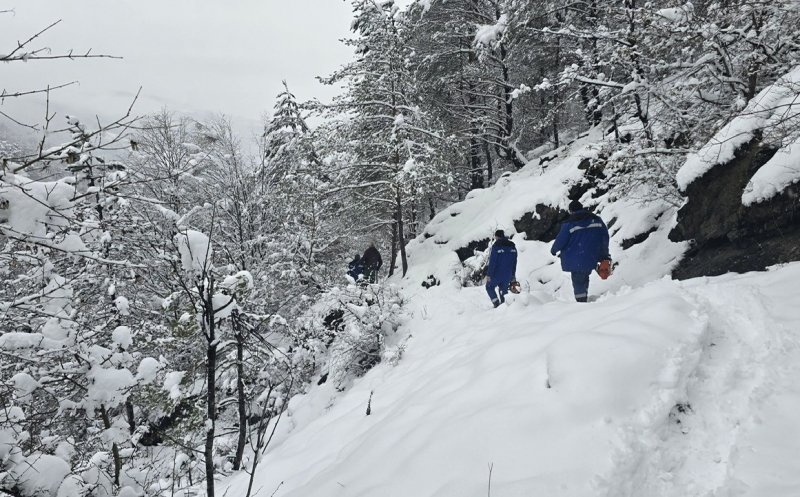 Criza energetică din Munții Apuseni, soluționată: DEER a refăcut rețeaua afectată de ninsori și viscol