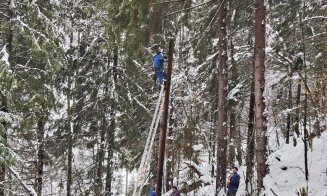 Criza energetică din Munții Apuseni, soluționată: DEER a refăcut rețeaua afectată de ninsori și viscol