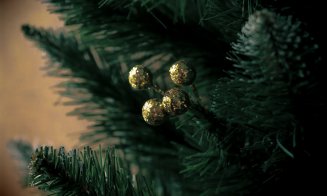 Turda: Unde și când se colectează GRATUIT brazii de Crăciun. Programul complet