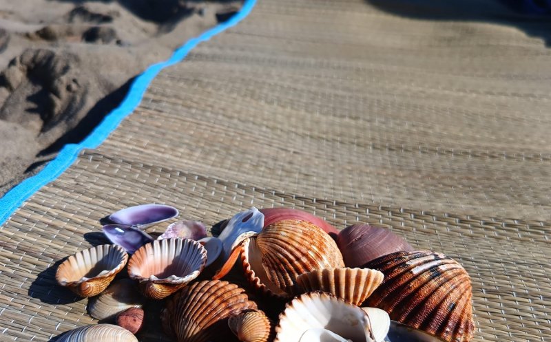 Mai multe țări europene au introdus amenzi usturătoare pentru turiști