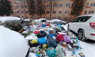 De când cu zăpada, Supercom a înghețat ridicarea gunoaielor?