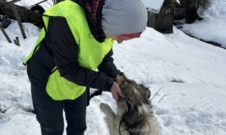 Suflete nevinovate salvate din ger și lanțuri: șase animale au fost salvate datorită comunității și Poliției Beliș, Cluj