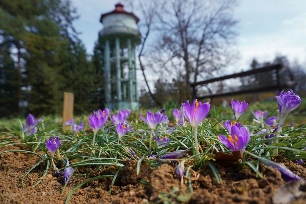 Grădina Botanică din Cluj, una dintre cele mai căutate destinații ale orașului. Câți vizitatori îi trec pragul anual