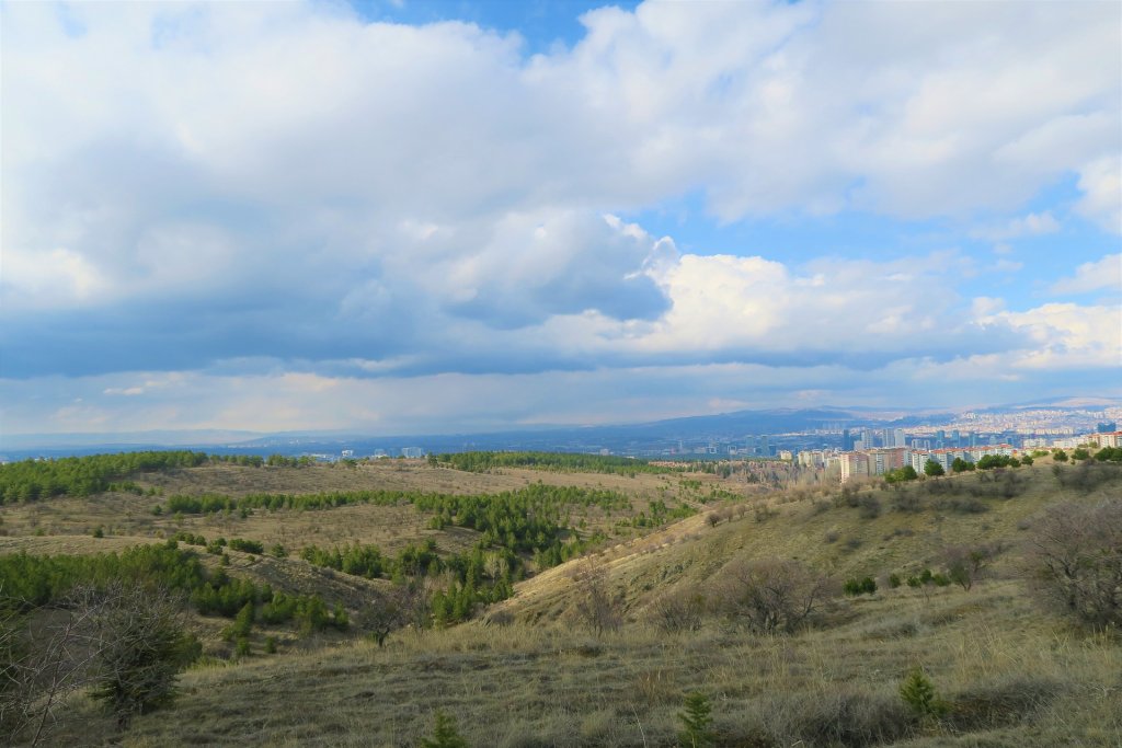 Piața terenurilor rezistă incertitudinilor: Revenire spre final de an 2025 și focus pe investiții pe termen lung