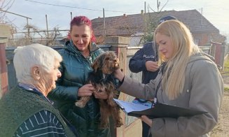 CJ Cluj dă start programului de sterilizare, microcipare și înregistrare a câinilor cu stăpân. Cum se depun cererile