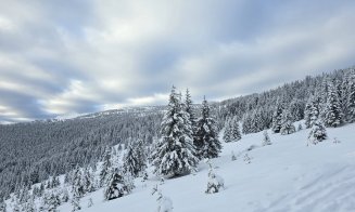 Imagini care îți taie respirația: Zona de munte a Clujului iarna. Peisaje de poveste