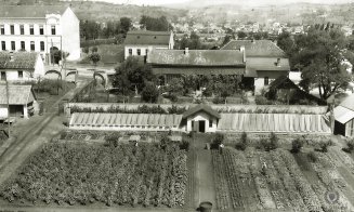 Calea Mănăștur din vechiul Cluj