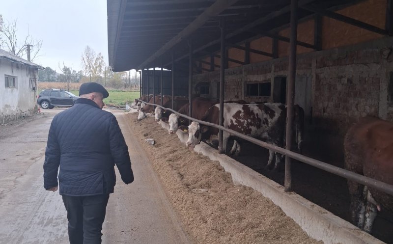 Criza laptelui este iminentă. Avertisment transmis de europarlamentarul clujean Daniel Buda