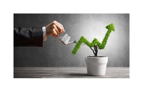 Cum reduc instrumentele digitale costurile și cresc profiturile în 2026