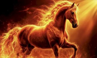 Începe Noul An Chinezesc 2026. Ce aduce Anul Calului pentru fiecare zodie