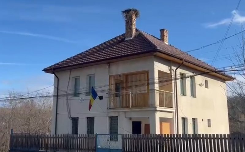 Cuibul de barză care a lăsat polițiștii clujeni în frig urmează să fie relocat