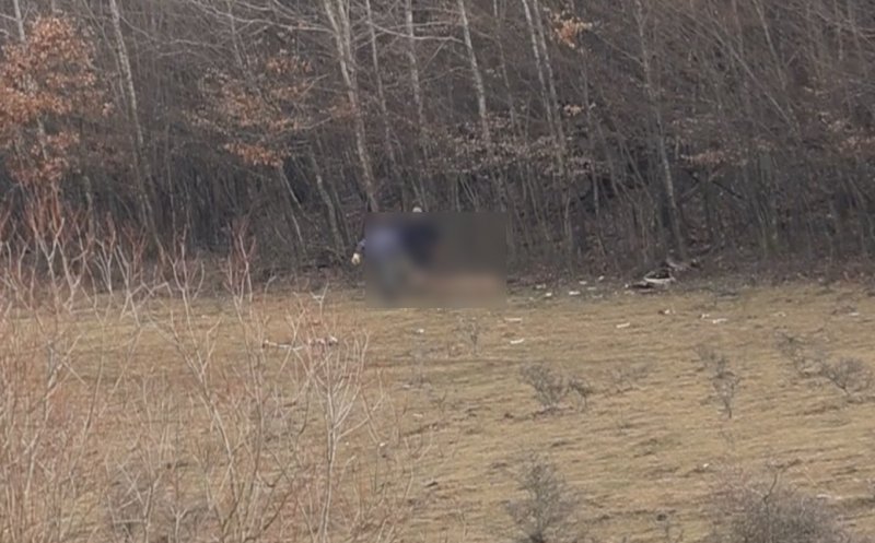 Câtă suferință! Cerbul dus de urgență la USAMV Cluj de la ferma groazei a murit. "Avea viermi și paraziți în organe"