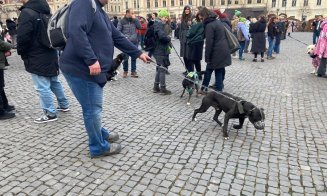 Protest animale Cluj-Napoca 22 februarie 2026