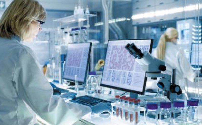 O ciupercă mortală se extinde rapid la nivel global. Sporii ajung în organism și încep să îl „devoreze”