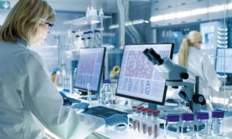 O ciupercă mortală se extinde rapid la nivel global. Sporii ajung în organism și încep să îl „devoreze”