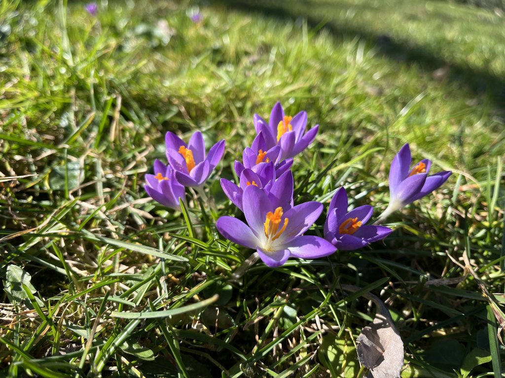 Grădina Botanică din Cluj-Napoca și-a modificat programul