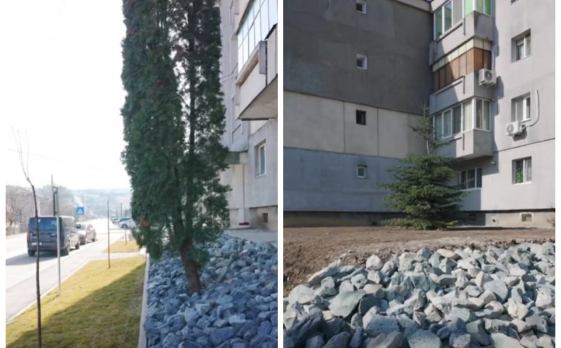 O comună din Cluj investește în natură: blocurile vor fi înconjurate de spații verzi