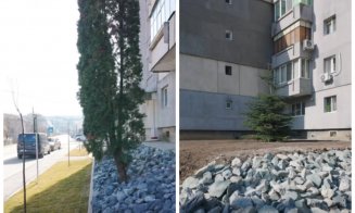 O comună din Cluj investește în natură: blocurile vor fi înconjurate de spații verzi