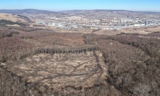 Petiție către autoritățile din Cluj pentru pădurea Hoia-Baciu, arie naturală protejată / O veste bună: Autorizații de construire sub pădure, ANULATE