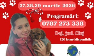 Campanie de sterilizări gratuite, la Dej