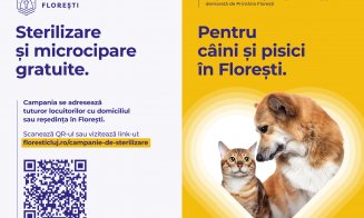 Primăria Florești lansează campania de sterilizare și microcipare gratuite pentru câini și pisici, pe tot parcursul anului 2026
