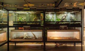 Expoziția Educativă de Tarantule și Reptile Vii revine la Iulius Mall Cluj cu exemplare spectaculoase
