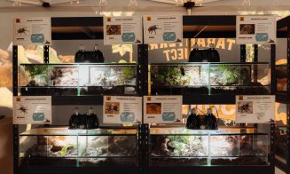 Expoziția Educativă de Tarantule și Reptile Vii revine la Iulius Mall Cluj cu exemplare spectaculoase