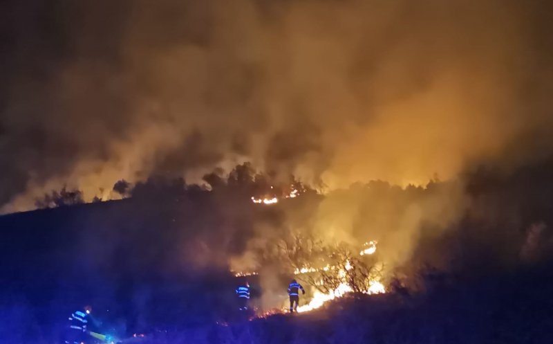 Rădaia, Coplean, Aghireșu-Fabrici, Muntele Săcelului și Calea Dezmirului din Cluj-Napoca au deschis "sezonul" INCENDIILOR DE VEGETAȚIE în județ