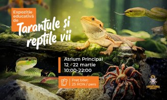 Weekend cu expoziții spectaculoase, târg de nunți și spectacol de teatru pentru copii, la Iulius Mall Cluj