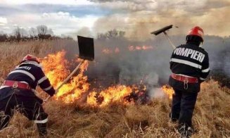 Prefectura Cluj avertizează: Arderea vegetației uscate este INTERZISĂ