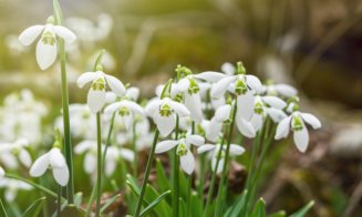 Anunțul meteorologilor despre vremea din următoarele două săptămâni. Maxime de 17 grade Celsius