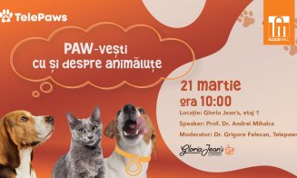 Cum îți protejezi animalul de companie primăvara? Află la Iulius Mall, în cadrul „Paw-vești cu și despre animăluțe”!