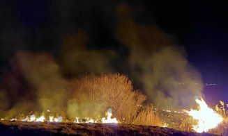 Arderea vegetației uscate, sancționată cu amenzi uriașe și chiar închisoare