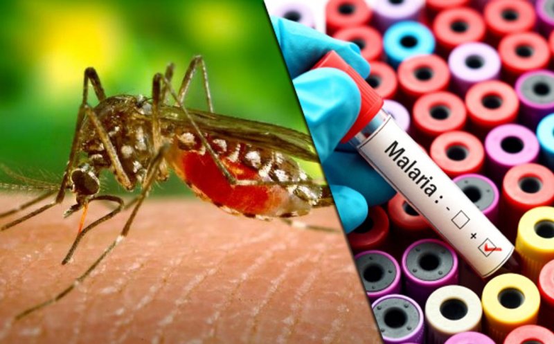 Ce este MALARIA? Cauze. Simptome. Tratament / Netratată, malaria poate provoca convulsii, leziuni ale creierului, insuficiență de organ și deces